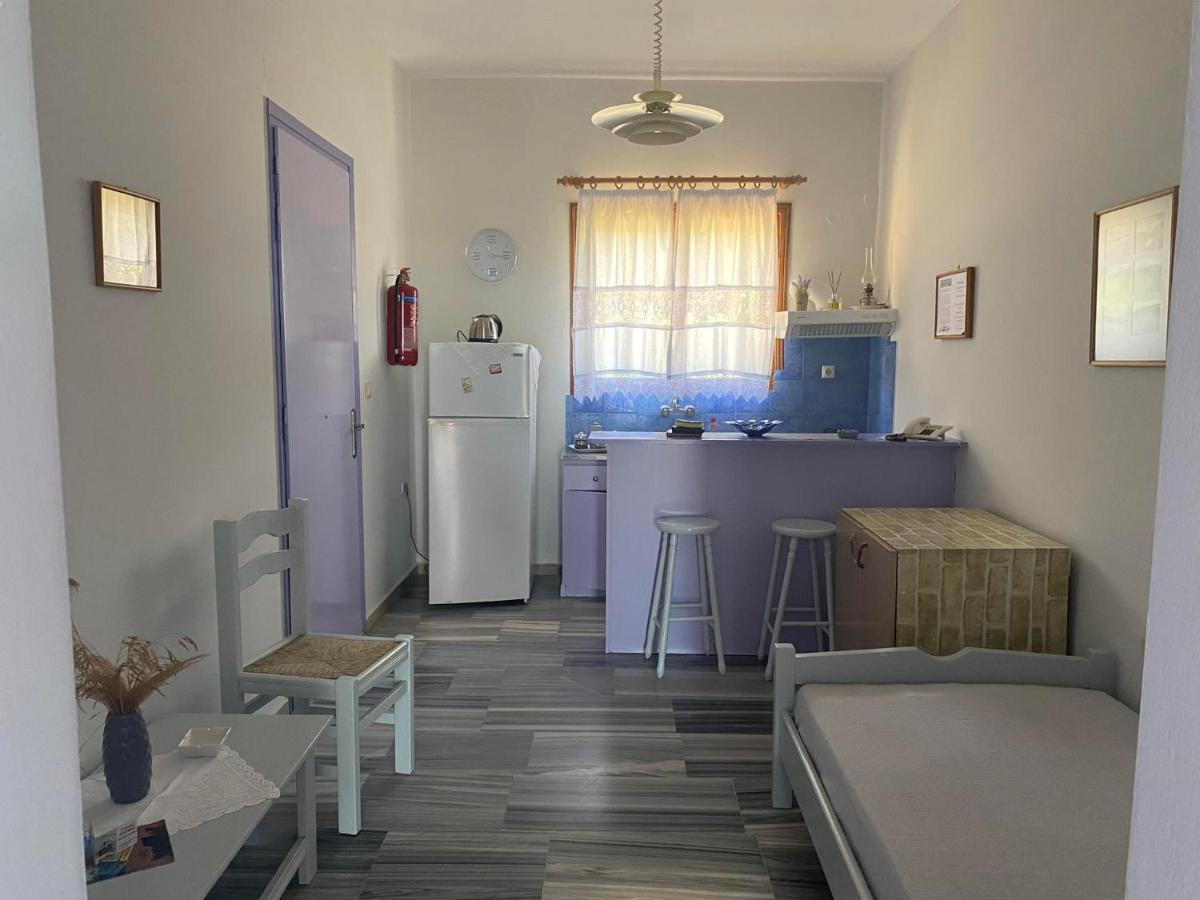 Stelios Zalonis Apartments Tínos Dış mekan fotoğraf