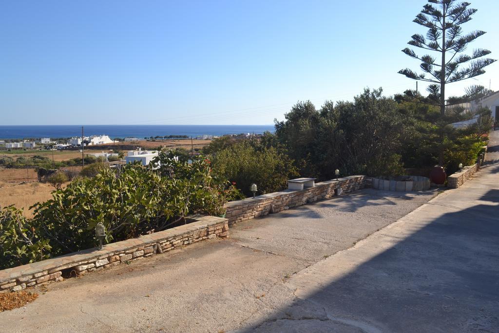 Stelios Zalonis Apartments Tínos Dış mekan fotoğraf