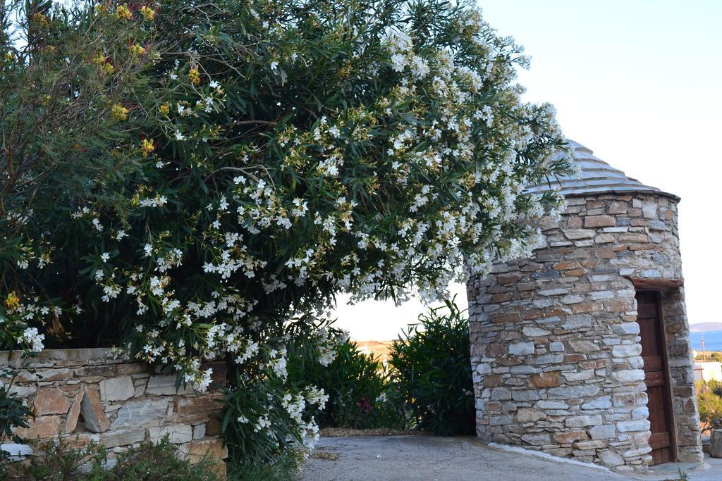 Stelios Zalonis Apartments Tínos Dış mekan fotoğraf