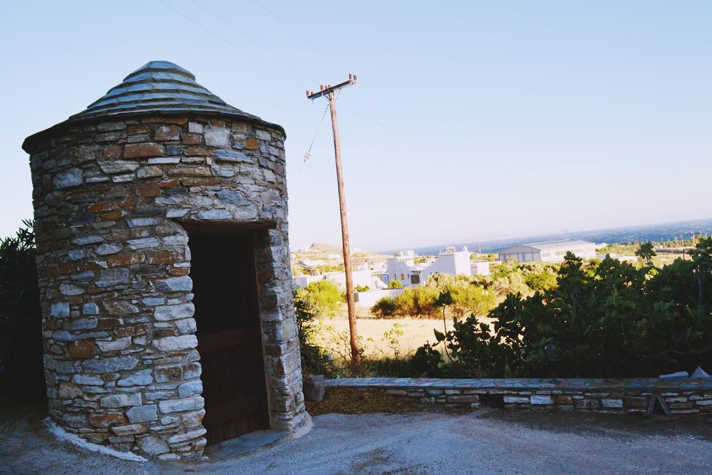 Stelios Zalonis Apartments Tínos Dış mekan fotoğraf